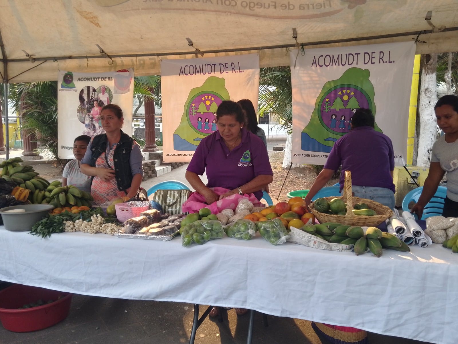 Mercadito Solidario Agroecológico 
